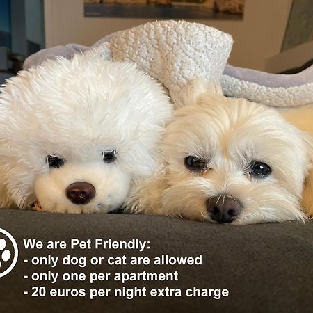 Apartments Monika Bed & Breakfast 1&4 Пунат Екстериор снимка